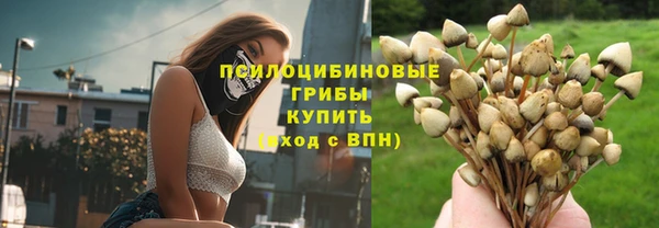 твердый Волоколамск