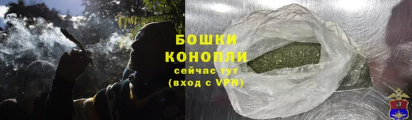 индика Верхний Тагил