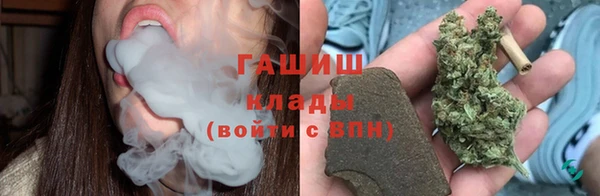 индика Верхний Тагил