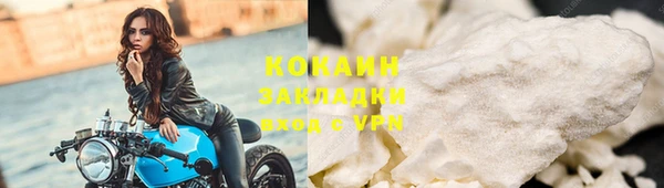 индика Верхний Тагил