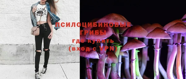индика Верхний Тагил